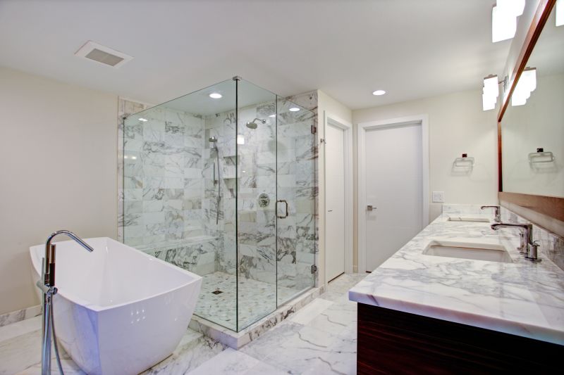 Contemporary Shower Area